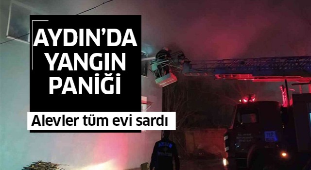 Aydın'da yangın paniği