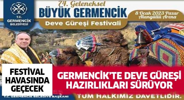 Germencik'te deve güreşi hazırlıkları sürüyor