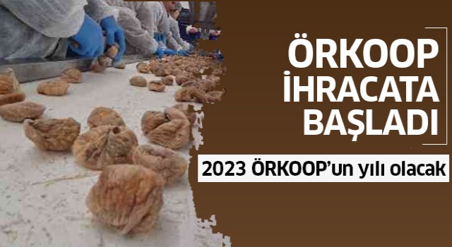 ÖRKOOP ilk ihracatını incirle yaptı