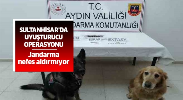 Sultanhisar'da uyuşturucu operasyonu