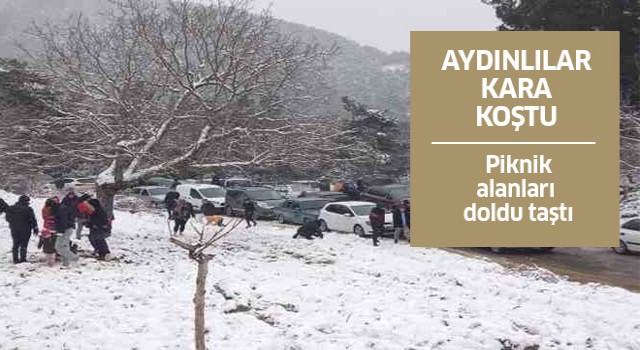 Aydın'a kar gelmeyince vatandaşlar kara gitti