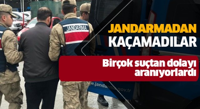 Aydın'da aranan şahıslar jandarmaya takıldı