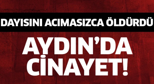 Aydın'da bir şahıs dayısını öldürdü