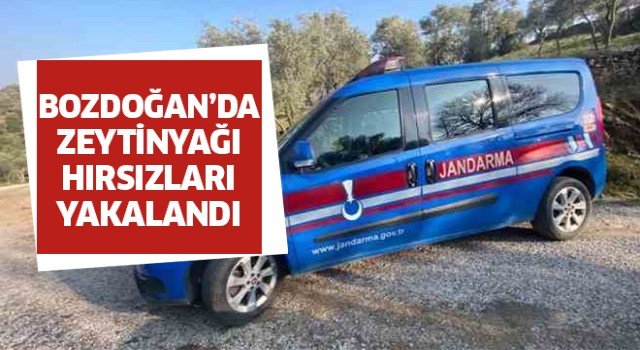 Bozdoğan'da zeytinyağı hırsızları yakalandı