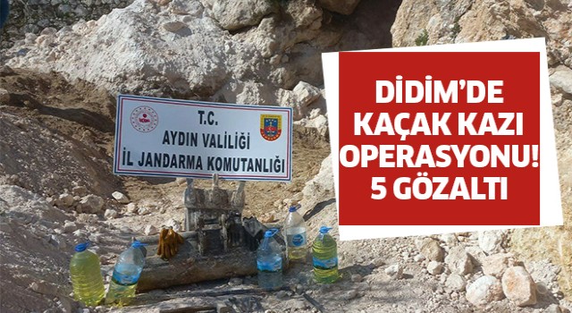 Didim'de kaçak kazı operasyonu: 5 gözaltı