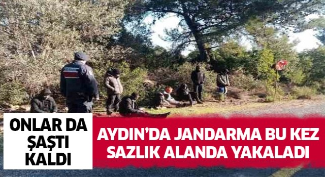 Jandarma bu kez sazlık alanda yakaladı