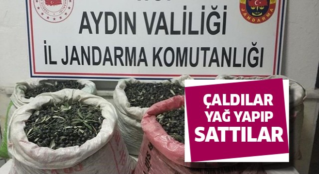 Sultanhisar'da yağ hırsızları enselendi