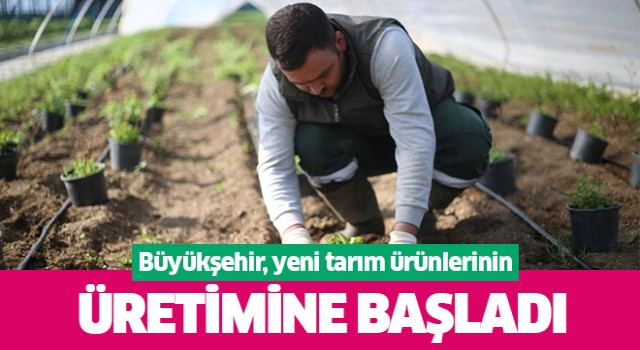 Büyükşehir, yeni tarım ürünlerinin üretimine başladı