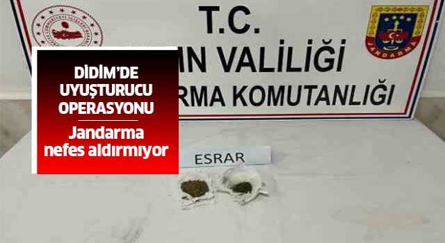 Didim'de uyuşturucu operasyonu: 1 gözaltı