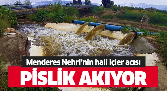 Menderes Nehri'nde pislik akıyor