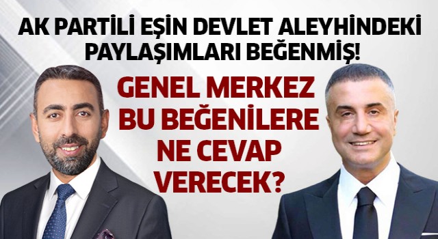 AK Partili Eşin, devlet aleyhindeki paylaşımlara beğeni atmış