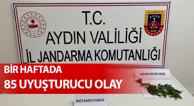 Aydın’da 85 uyuşturucu olayı ortaya çıkarıldı