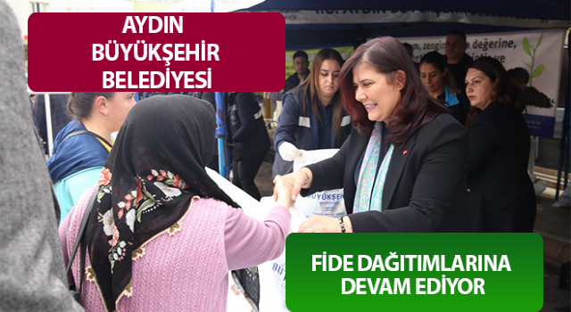 Başkan Çerçioğlu, Sultanhisar ve Atça'da fide dağıttı