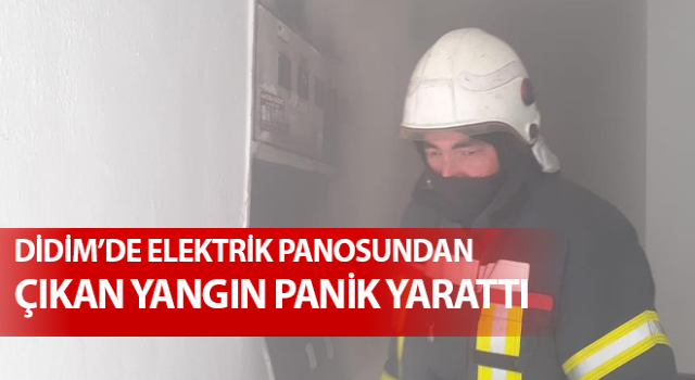 Didim’de panodan çıkan yangın paniğe neden oldu