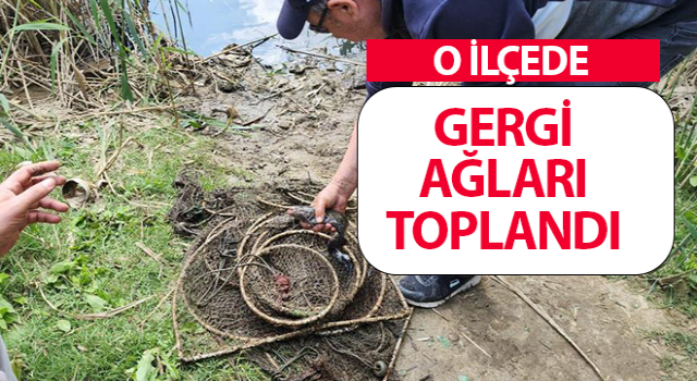 Didim'de sahipsiz gergi ağları toplandı