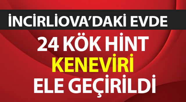 İncirliova’da hint keneviri ele geçirildi