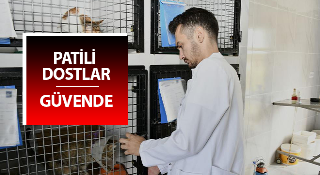 Kuşadası’nda patili dostlara özel tedavi