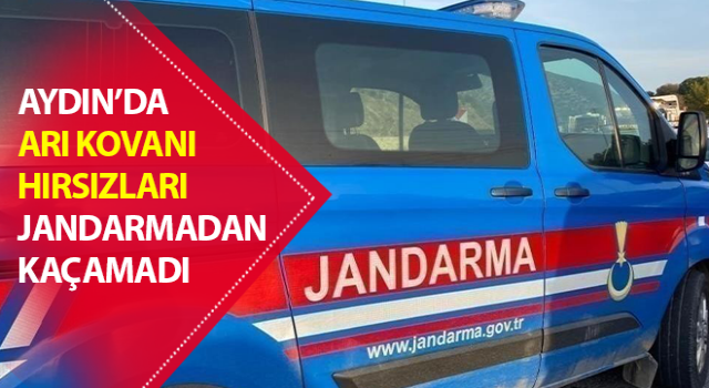 Arı kovanı hırsızları jandarmaya yakalandı