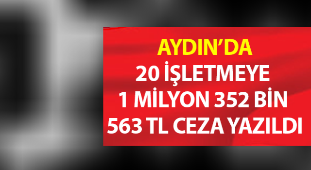 Aydın’da 20 işletme cezadan kaçamadı