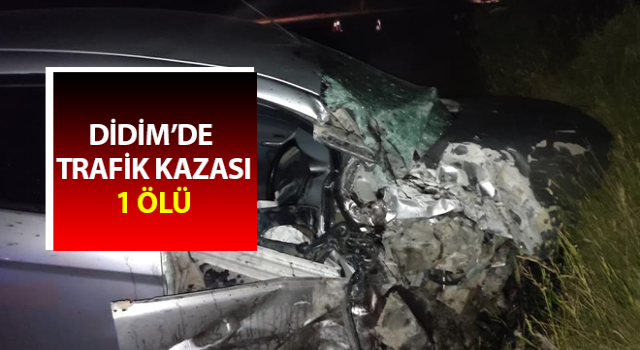 Aydın'da trafik kazası: 1 ölü