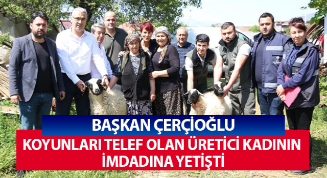 Başkan Çerçioğlu'dan üretici kadına destek