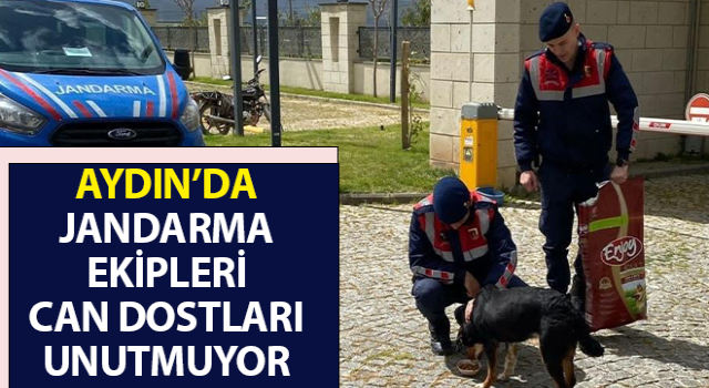 Jandarma ekipleri can dostları unutmuyor