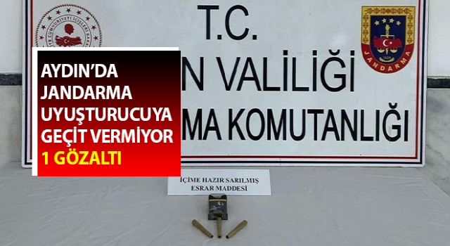 Jandarma uyuşturucuya geçit vermiyor: 1 gözaltı