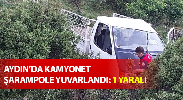 Kamyonet şarampole yuvarlandı