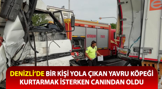 Yola çıkan yavru köpeği kurtarmak isterken canından oldu