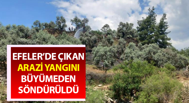 Arazi yangını büyümeden söndürüldü