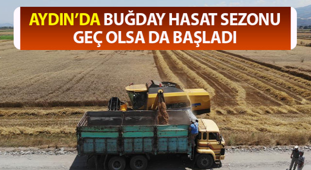 Buğday üreticileri hasat için zamanla yarışıyor