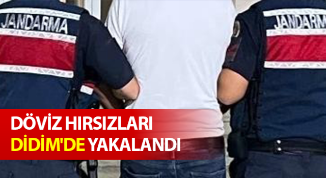 Döviz hırsızları Didim'de yakalandı