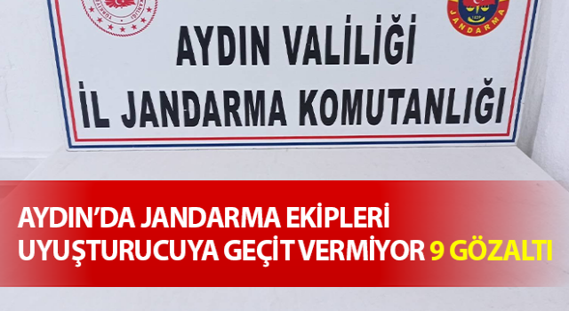 Jandarma uyuşturucuya geçit vermiyor: 9 gözaltı