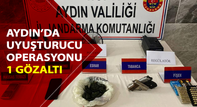 Jandarmadan uyuşturucu baskını: 1 gözaltı