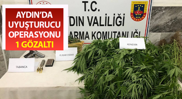 Jandarmadan uyuşturucu operasyonu: 1 gözaltı