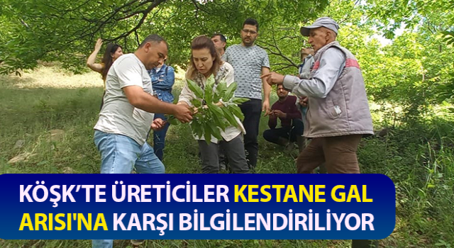 Köşk’te üreticiler bilgilendirildi