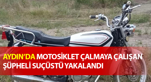 Motosiklet hırsızı suçüstü yakalandı