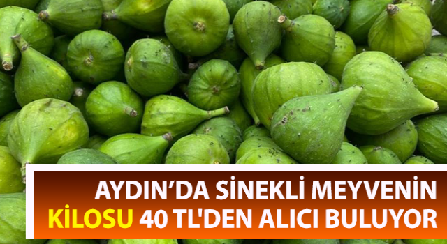 Pazarda sinekli meyvenin kilosu 40 TL'den alıcı buluyor