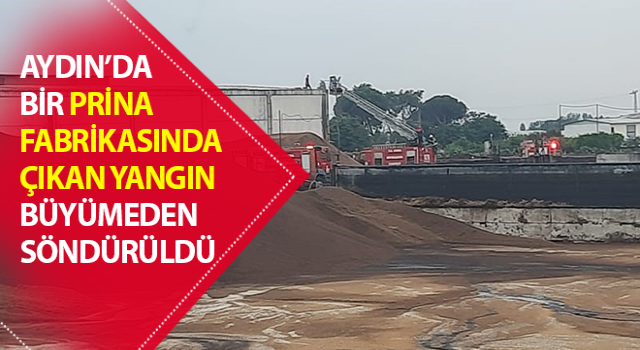 Prina fabrikasında çıkan yangın, büyümeden söndürüldü