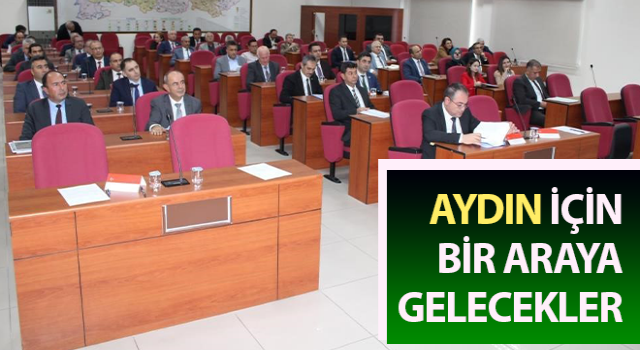 Aydın için bir araya gelecekler