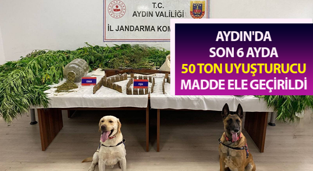 Aydın'da son 6 ayda 50 ton uyuşturucu madde ele geçirildi