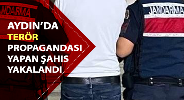 Aydın’da terör propagandası yapan şahıs yakalandı