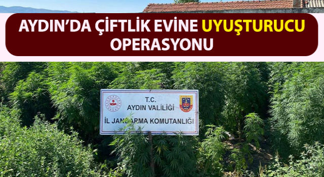 Çiftlik evine uyuşturucu baskını: 1 tutuklama