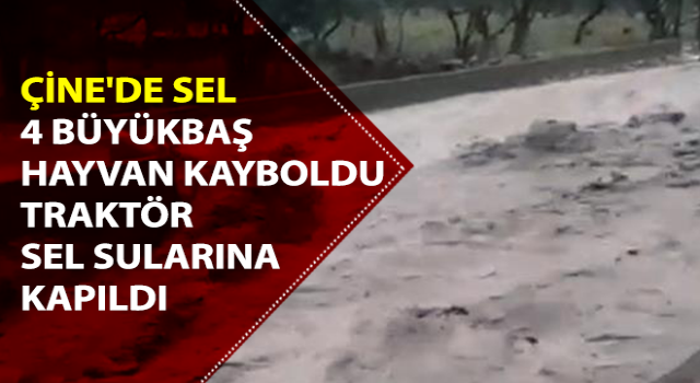 Çine'de sel