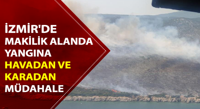 İzmir'de makilik alanda yangın çıktı