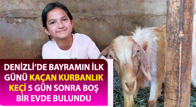 Kaçan kurbanlık keçi, 5 gün sonra boş bir evde bulundu