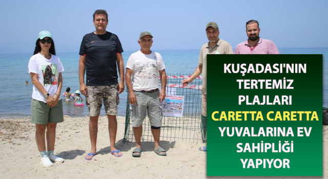 Kuşadası'nın plajları caretta caretta yuvalarına ev sahipliği yapıyor