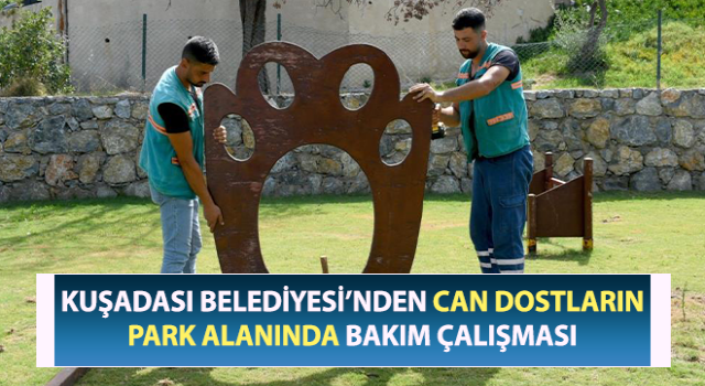 Pako Köpek Eğitim Parkı’nda bakım çalışması devam ediyor