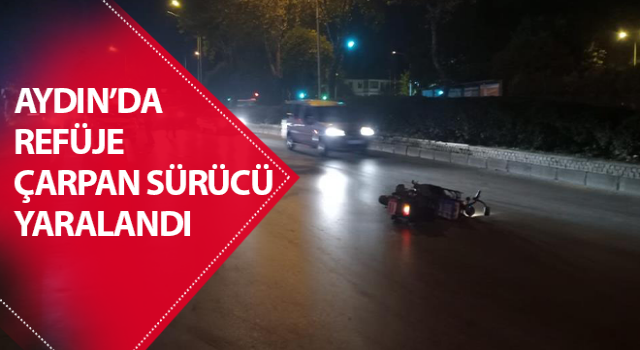 Refüje çarpan sürücü yaralandı