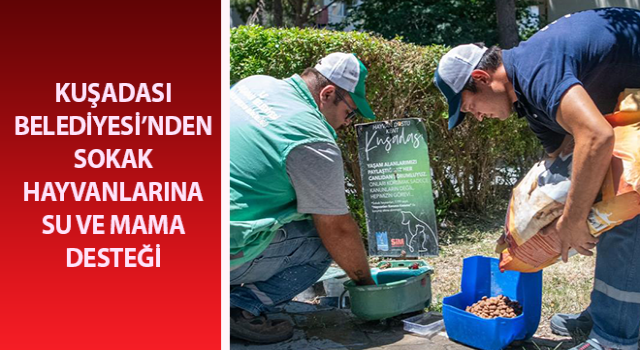 Sokak hayvanlarına su ve mama desteği